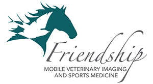 friendship300